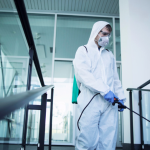 Tips Menghindari Jasa Anti Rayap Abal-Abal